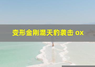 变形金刚混天豹袭击 ox